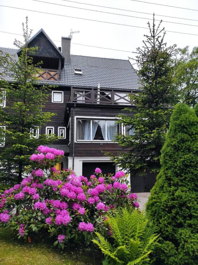 Willa Klonowa Wisla Exterior photo